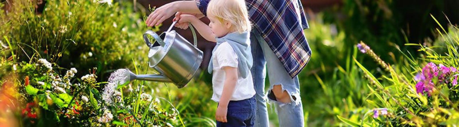 Entretien du jardin au mois de juillet